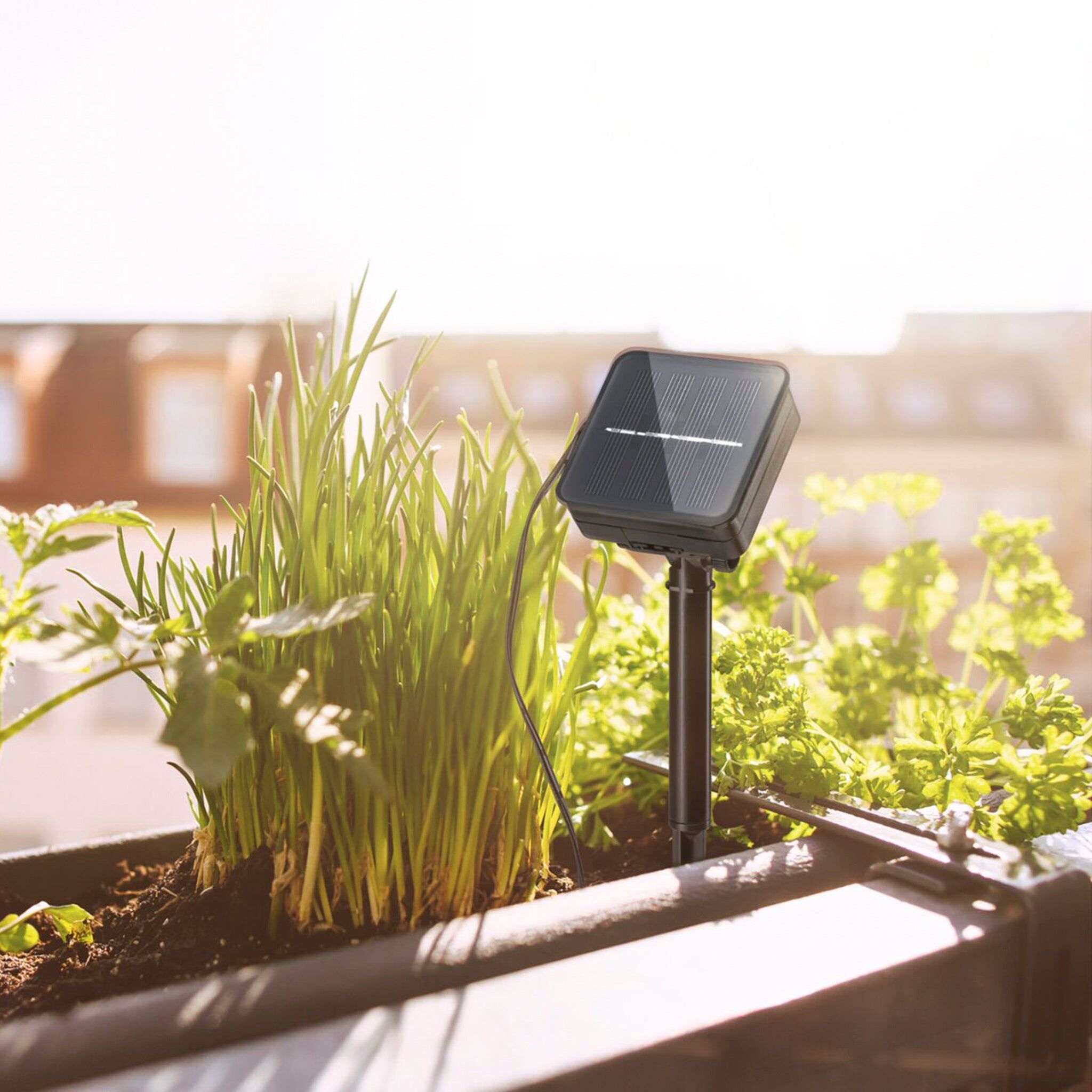 Paulmann - Outdoor Solar LED 3m Strip with Dusk Sensor in Warm White