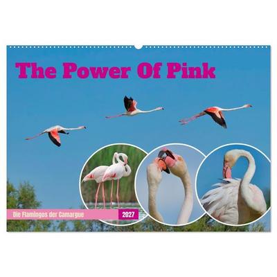 The Power Of Pink (Wandkalender 2027 DIN A2 quer), CALVENDO Monatskalender