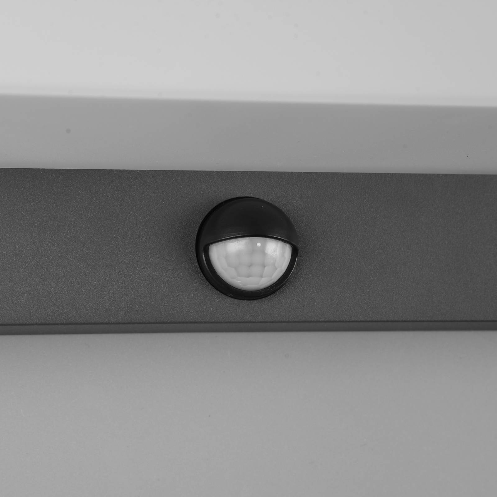 Trio Lighting Outdoor Sensor Wall Light Nestos, Black, Aluminium, Modern, Outdoor Wall Light