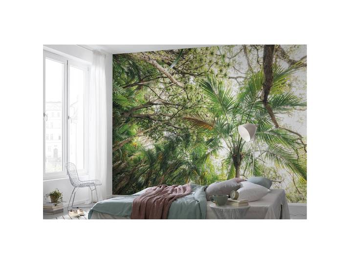 Papier peint intissé Touch the Jungle 450 x 280cm