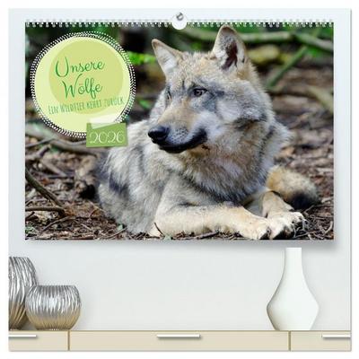 Unsere Wölfe - Ein Wildtier kehrt zurück (hochwertiger Premium Wandkalender 2026 DIN A2 quer), Kunstdruck in Hochglanz