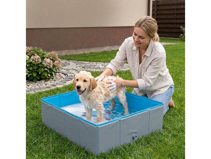 Piscine pour animaux de compagnie d'été, piscine pour chat et chien, baignoire pliable en PVC non gonflable, adaptée aux petits animaux