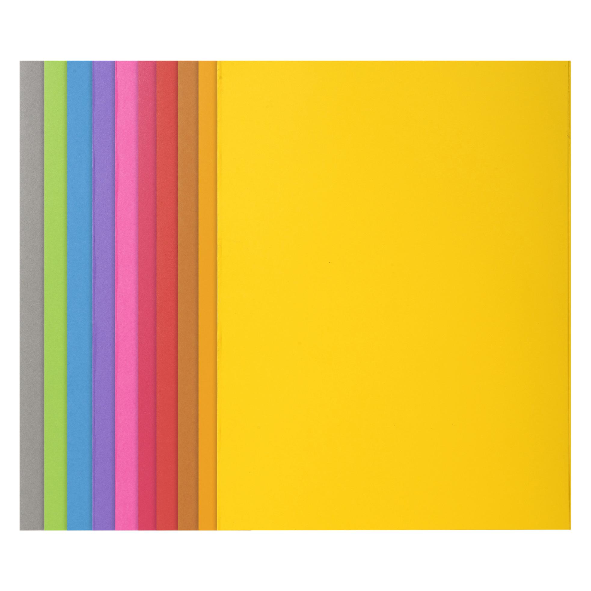 Exacompta Sammelmappen - Aktendeckel (A4) (210001E)