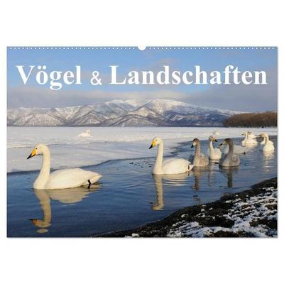Vögel & Landschaften (Wandkalender 2026 DIN A2 quer), CALVENDO Monatskalender