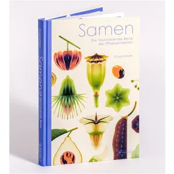 Prestel, Samen, Samen (Pflanzensamen)