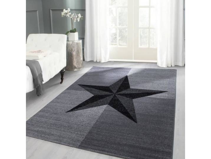 Tapis moderne designe Plus 8002 Gris (200x290 cm)