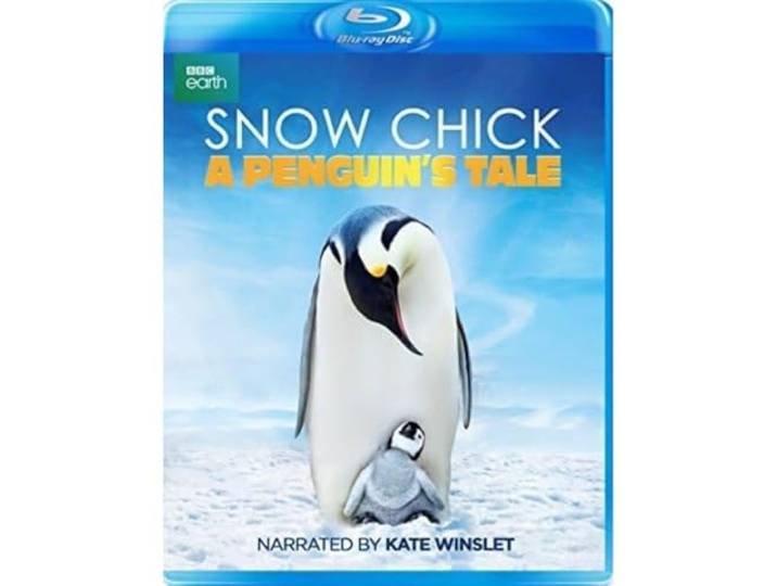 Snow Chick - A Penguin's Tale