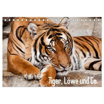 Tiger, Löwe und Co. (Tischkalender 2027 DIN A5 quer), CALVENDO Monatskalender