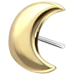 14 Karat Gold Aufsatz mit Titan Push Pin MOND