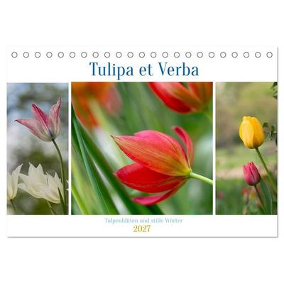 Tulipa et Verba – Tulpenblüten und stille Wörter (Tischkalender 2027 DIN A5 quer), CALVENDO Monatskalender