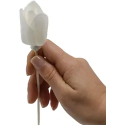 Natural Diffuser Flowers – Tulip on Reed