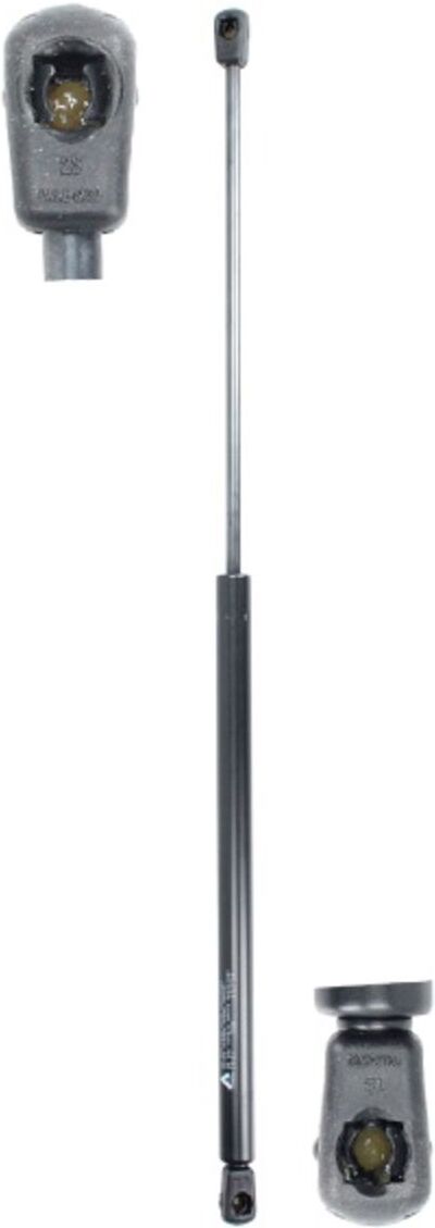 Gasfeder, Koffer-/Laderaum AUGER 54443