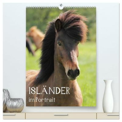 Isländer im Portrait (hochwertiger Premium Wandkalender 2027 DIN A2 hoch), Kunstdruck in Hochglanz