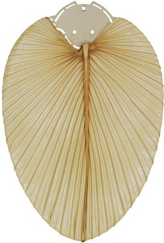 CasaFan Deckenventilator-Flügelsatz 132 PALME NATUR Deckenventilator-Flügelsatz Flügeldekor: Palme (natur)