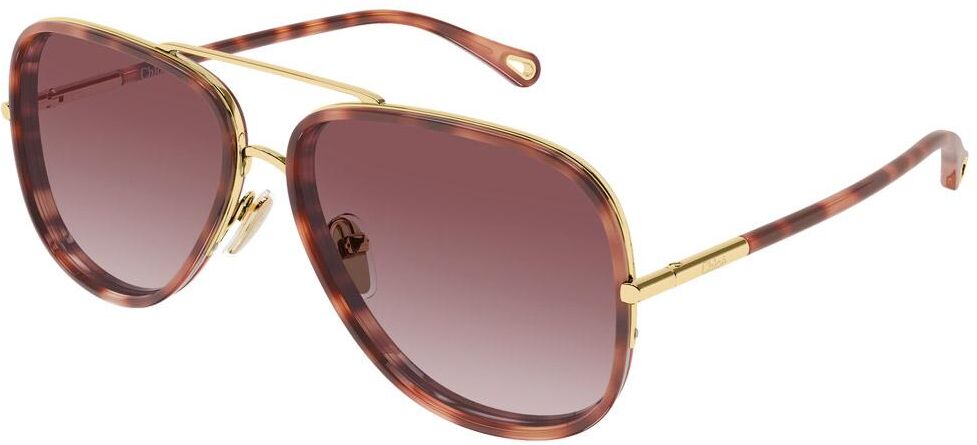 Chloé  - CH0382S 004 Gold Tortoise - Lunettes de soleil