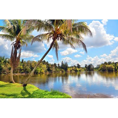 Fototapete PAPERMOON "Kubanische Landschaft", bunt, B:2m L:1,49m, Vlies, Tapeten