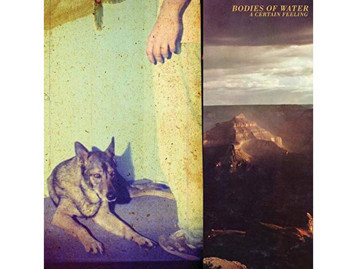 Bodies Of Water - A Certain Feeling