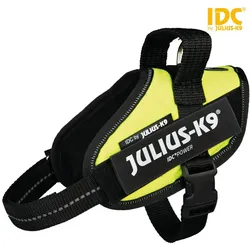 Julius-K9 Idc (XS, Hund, Allgemein), Halsband + Leine