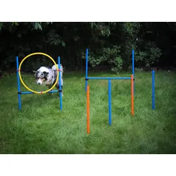 Hunde Agility Training Set, Hundetraining, Hundeparcour Einsteiger-Set