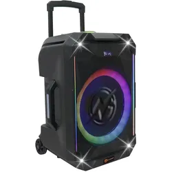 N-Gear Drahtloser Bluetooth-Lautsprecher mit Mikrofon, LED-Show und Aufnahmefunktion (Aktiv), PA Lautsprecher, Schwarz