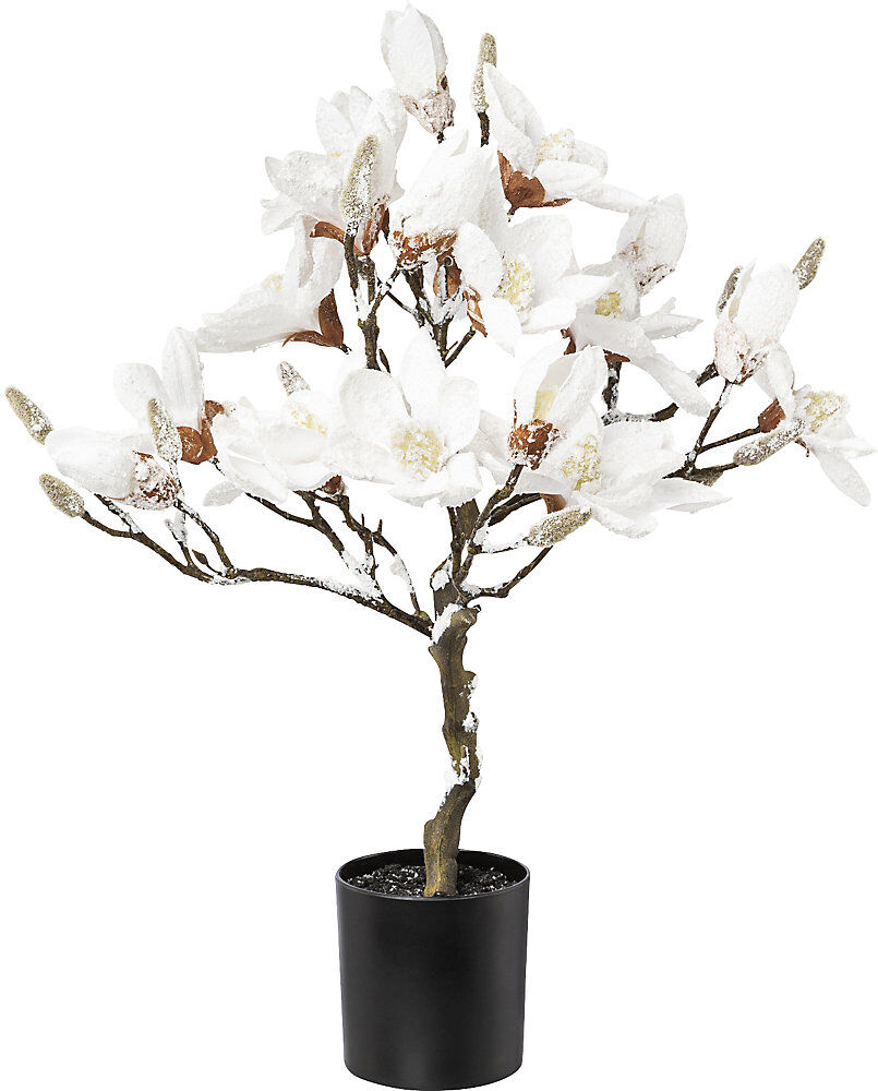 kaiserkraft Magnolienbaum, beschneit, im Kunststofftopf, weiß, Gesamthöhe 580 mm