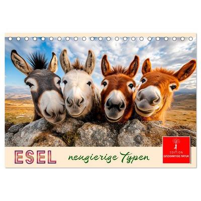 Esel - neugierige Typen (Tischkalender 2027 DIN A5 quer), CALVENDO Monatskalender