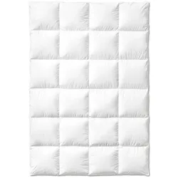 Sanders Atelier Premium Daunendecke warm - 155x220cm