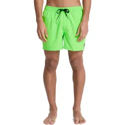 Quiksilver Badeshorts Everyday Solid 15" Schwimmshorts Green Gecko - S - S