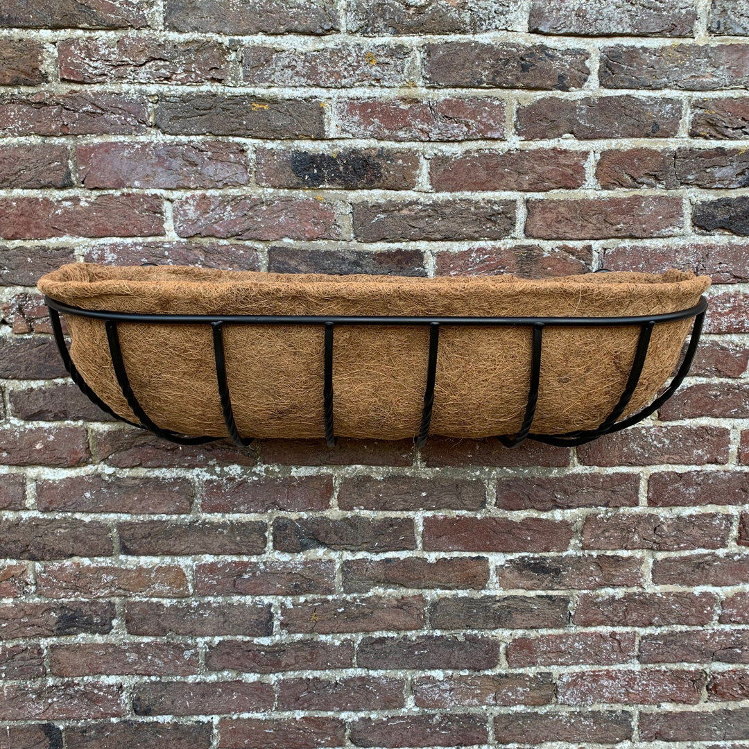 Dakota Fields Alan-John Metal Wall Planter 20cm H x 75cm W x 20cm D