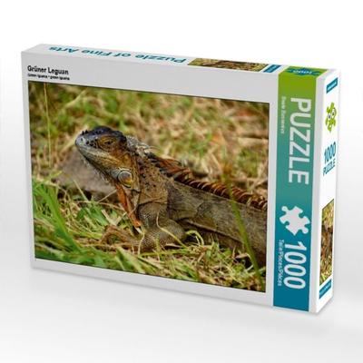 CALVENDO Puzzle Grüner Leguan | 1000 Teile Lege-Größe 64x48cm Foto-Puzzle für glückliche Stunden
