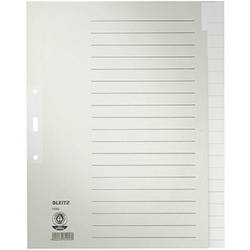 Leitz 1220 Register DIN A4, Überbreite blanko Tauenpapier Grau 20 Registerblätter 12200085