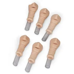 Ersatztrachea, 6er Set, Erwachsene für Koniotomie Simulator