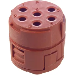 Lapp EPIC SIGNAL M23 Einsätze, 6 p, Elektronikkabel + Stecker