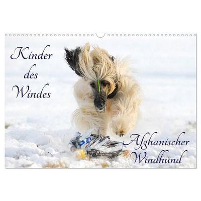 Kinder des Windes - Afghanischer Windhund (Wandkalender 2027 DIN A3 quer), CALVENDO Monatskalender