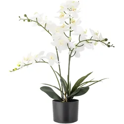 Bloomingville Künstliche Orchidee, Kunstblume, Ø 16xH84 cm