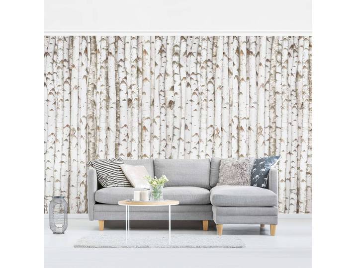 Papier peint intissé No.YK15 Bouleaux 384 x 255cm 384 x 255 cm