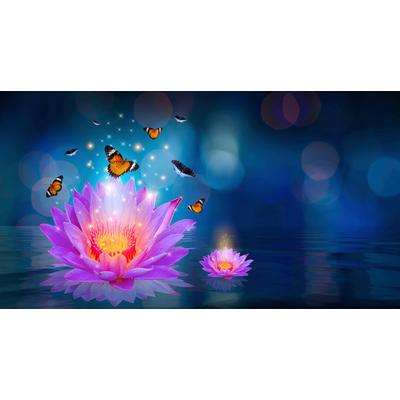 Fototapete PAPERMOON "Blume mit Schmetterlingen", bunt, B:5m L:2,8m, Vlies, Tapeten