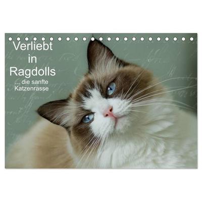 Verliebt in Ragdolls... die sanfte Katzenrasse (Tischkalender 2027 DIN A5 quer), CALVENDO Monatskalender