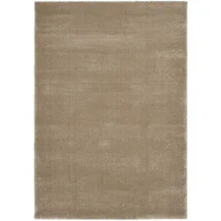 Teppich KOMFORT (BL 120x170 cm) - BL 120x170 cm