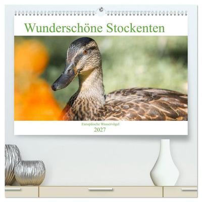 Wunderschöne Stockenten - Europäische Wasservögel (hochwertiger Premium Wandkalender 2027 DIN A2 quer), Kunstdruck in Hochglanz