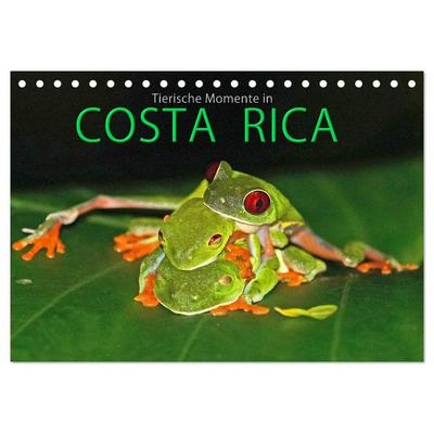 COSTA RICA - Tierische Momente (Tischkalender 2026 DIN A5 quer), CALVENDO Monatskalender