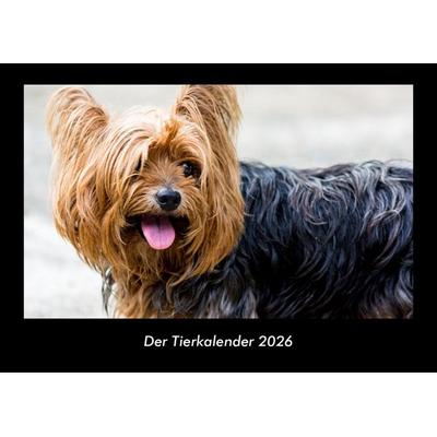 Der Tierkalender 2026 Fotokalender DIN A3