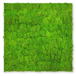 Wandpaneel MODULAR WALL (LB 52x52 cm) - LB 52x52 cm