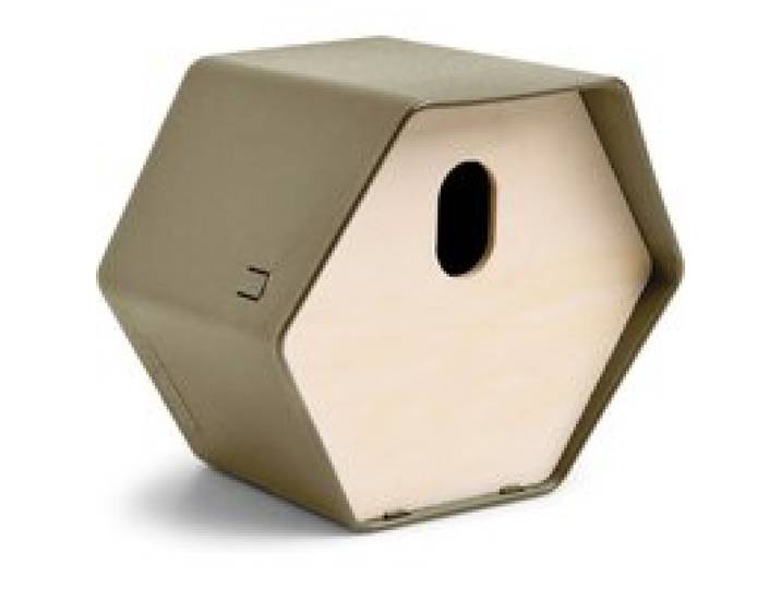 CAPI EUROPE Nichoir « Hive 2 » (Vert)