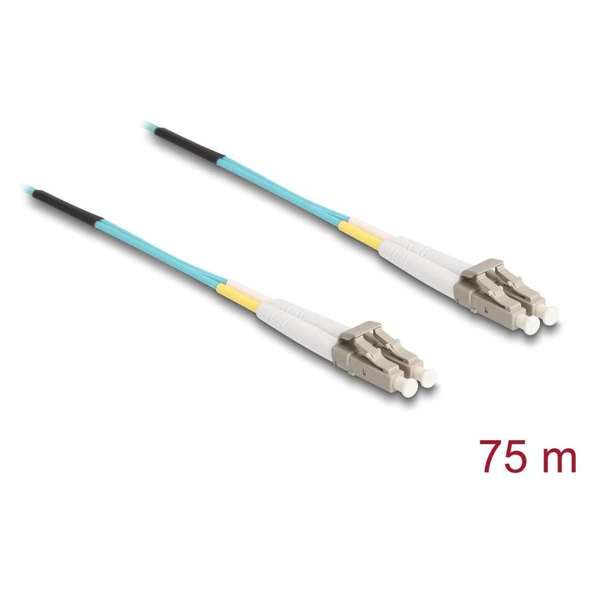 Delock Kabel Lichtwellenleiter LC Duplex Multimode OM3 75 m (75 m) (80152)