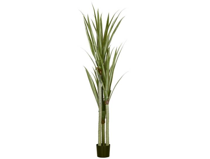 Jamb Yucca Heinz-Willi Grün Peva 190 cm, Dunkelgrün, Kunststoff, Holz, Bambus, 190 cm, Dekoration, Blumen & Blumentöpfe, Kunstpflanzen