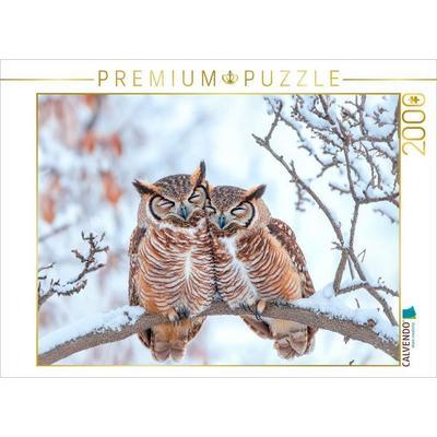 CALVENDO Puzzle Eulenpaar im Schneewald | 2000 Teile Lege-Größe 90x67cm Foto-Puzzle für glückliche Stunden