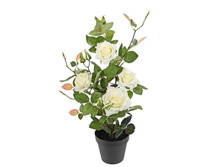 Rosenbusch im Topf Rosen Rosenstock Rosenbäumchen Kunstrosen Seidenblumen Kunstpflanzen Kunstblumen Kunstbaum Dekobaum Kunstpflanzen Pflanzen Dekopflanze Seidenpflanze Zimmerpflanze Deko Büropflanze