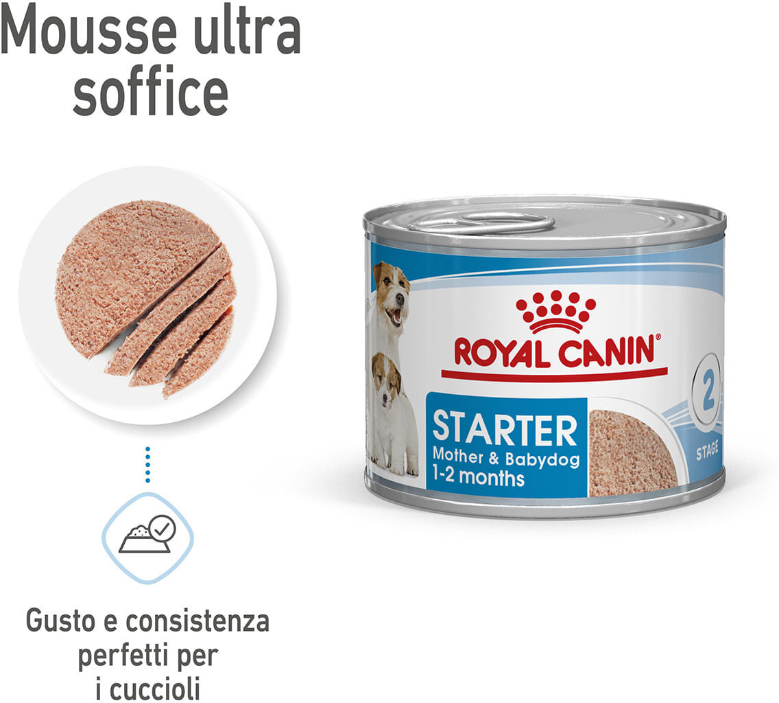 Royal Canin Starter Mother & Baby Dog Lattina Multipack 12x195G CARNI E DERIVATI