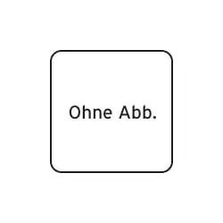Anschlussstück, Revision Vaillant-Nr. 0020059487